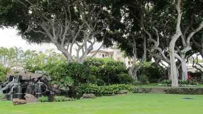 Hawaiian Honeymoon **pics**