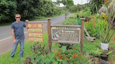 Hawaiian Honeymoon **pics**