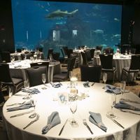 Soon to be brides-  it will be ok in the end! - 2