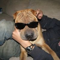 NWR: I want to see your pets!