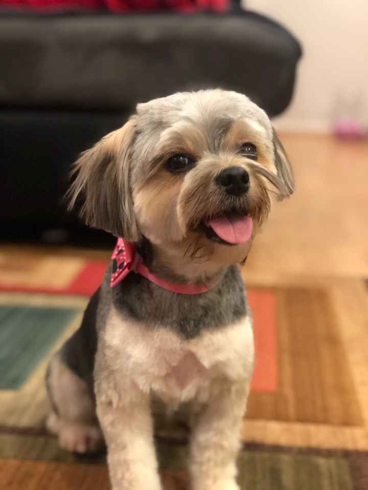 Hope this makes you smile! - 1