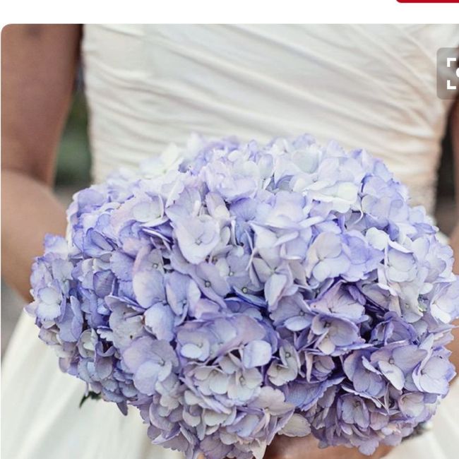 Purple Weddings! - 1