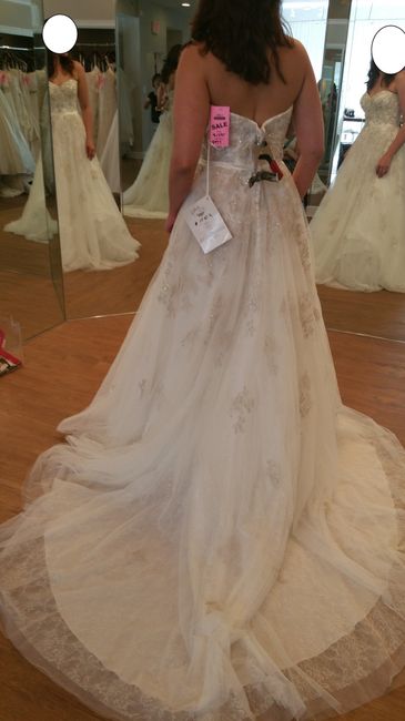 Took the Plunge--Said YES to the dress!
