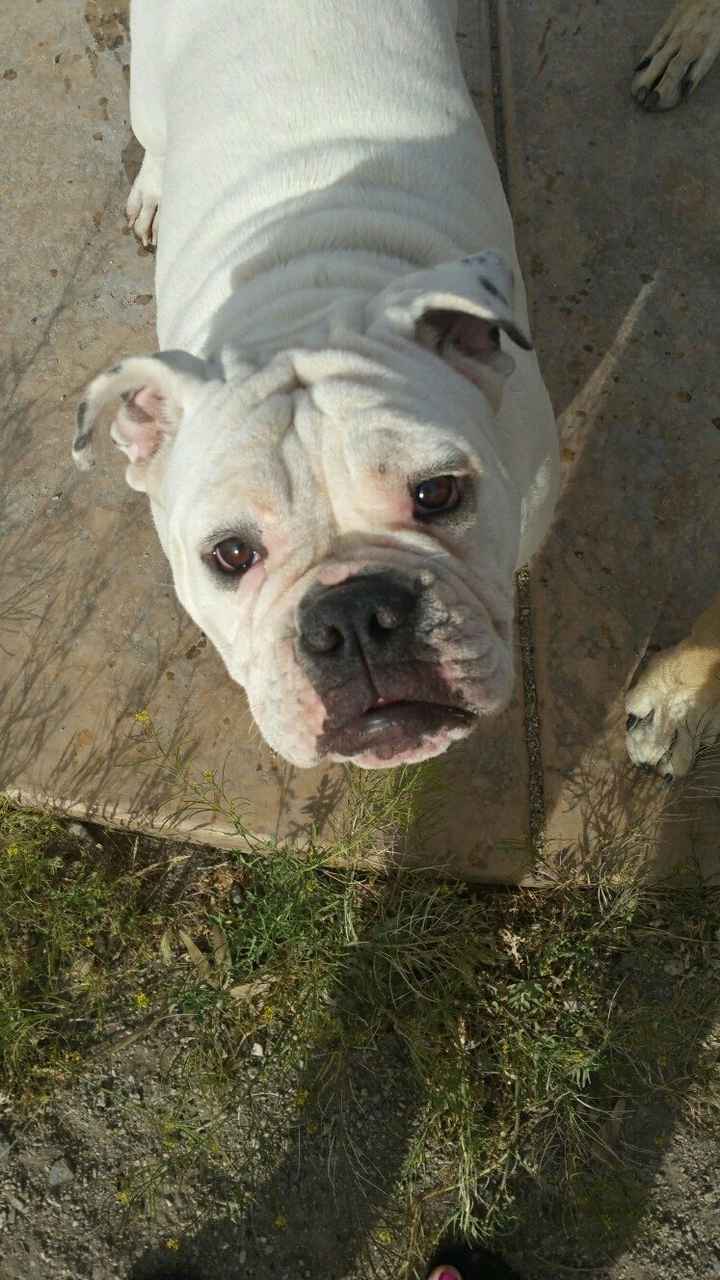 NWR- My little girl became a woman today.