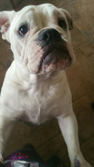 I LOVE my fur baby!