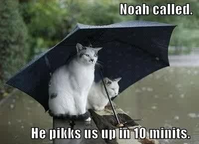 NWR- Funny pictures!