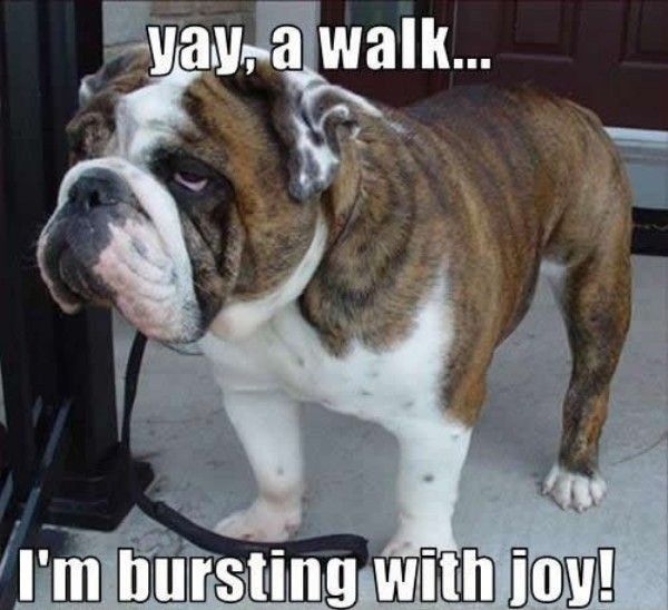 NWR- Funny pictures!