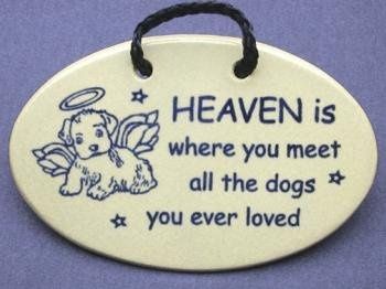 NWR: RIP Puppy