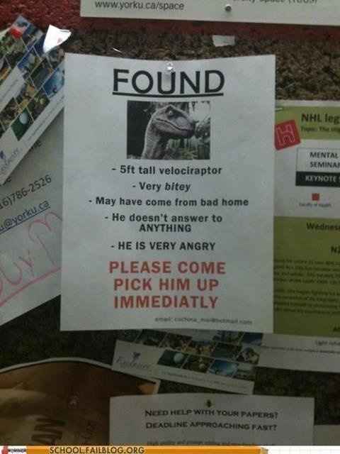 NWR- Funny pictures!