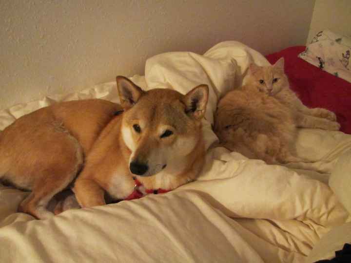 NWR- show me your pet!