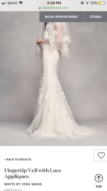 Unsure on veil - 1
