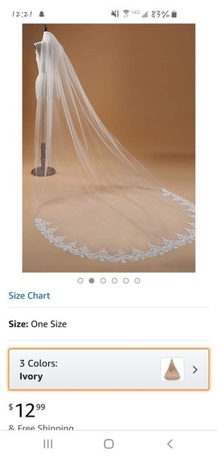 amazon veil