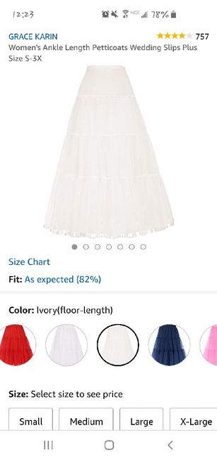 Slip or petticoat? 3