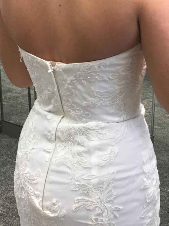 Dress Delema Continues.. - 1