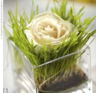 DIY Flower Pot Wheat Grass Centerpieces?
