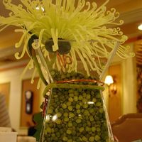 What to use other than Limes?