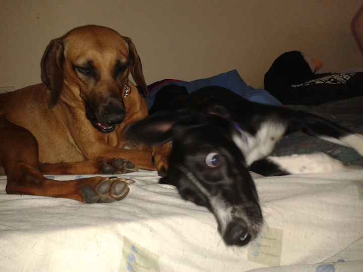 I think I have lurked enough...