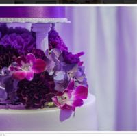 Back & Married !! Pics and a little advice :)