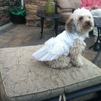 Back & Married !! Pics and a little advice :)