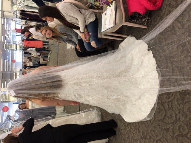 Dress shopping today!