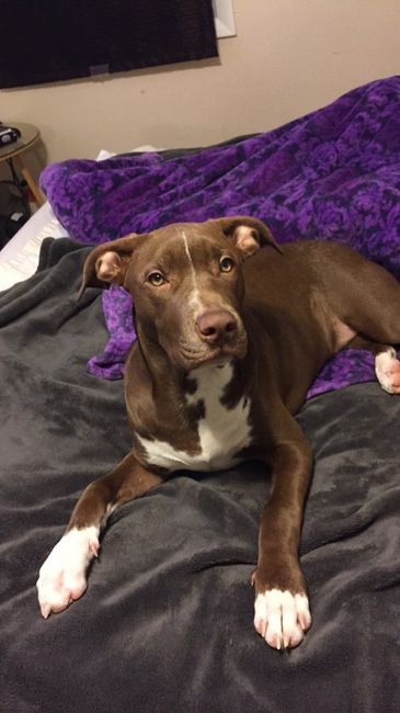 Show off your fur babies!