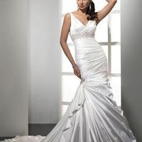 Ladies, what dress did you wish you could have tried on but didn't or couldn't get the chance to?