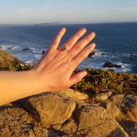 Not the best picture but June 2020