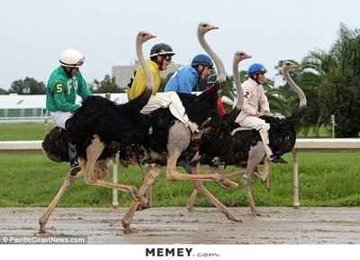 Brunch Wedding Entertainment?