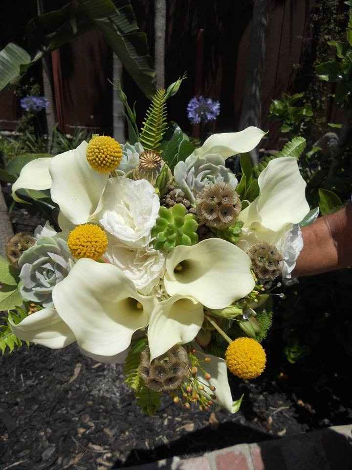 Non-Pro BAAAAAAAAAAAAAAAAAAAAAAM!