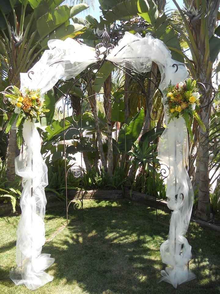 Non-Pro BAAAAAAAAAAAAAAAAAAAAAAM!