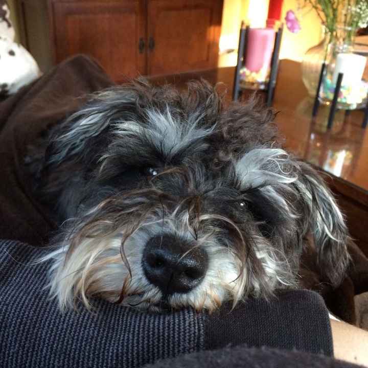 Is there any way to contact a mod?