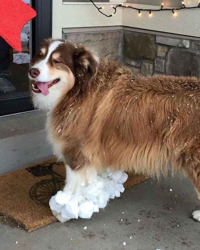 Weekly Compliment Thread