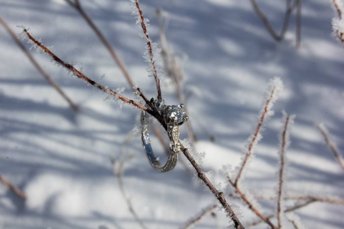 Show me your creative ring shot!
