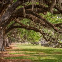 Need help finding a venue