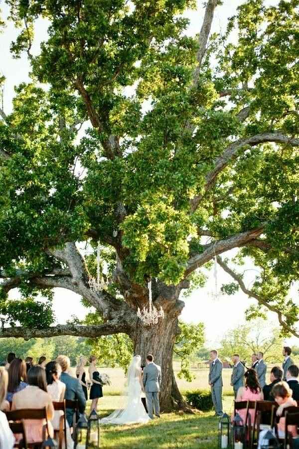 Suggestions for ceremony space... - 1