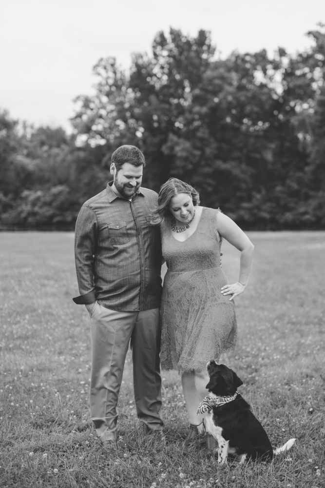 Dog engagement pictures - 1