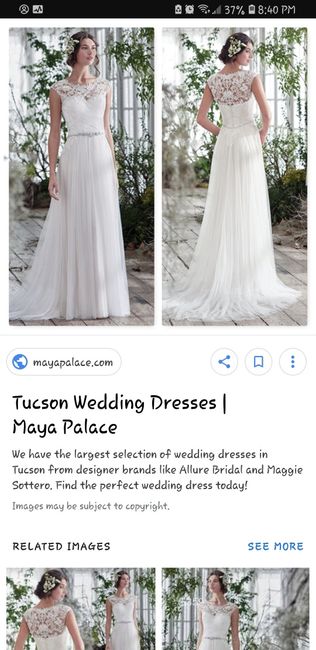 The Dress You Envisioned vs The Dress You Bought - 3