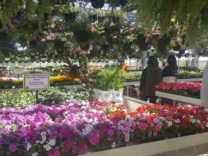 Let's see the wedding venues!