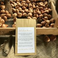  Flower Seeds/favors - 2