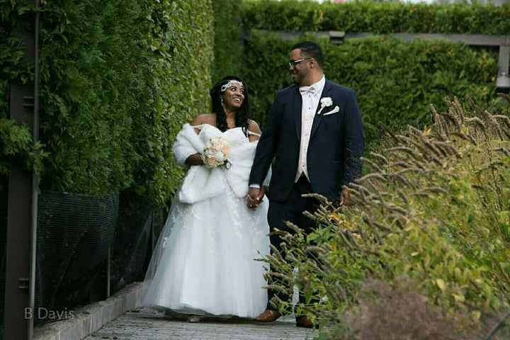 BAM Pro Sneak Peak!!