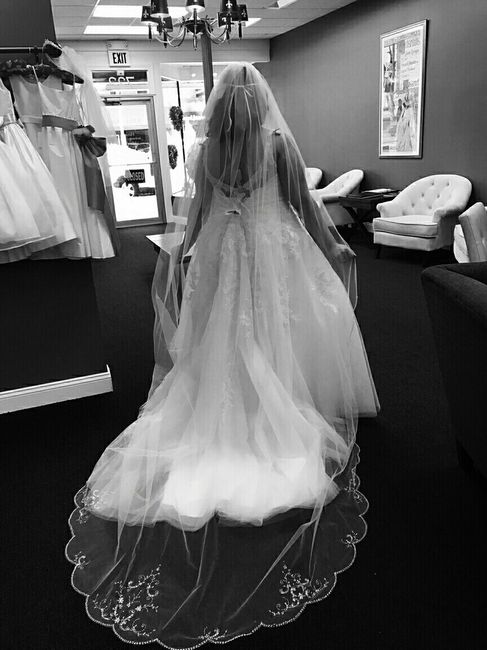 I bought my wedding dress today:)
