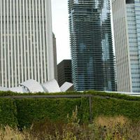 BAM Pro Sneak Peak!!