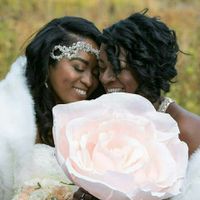 BAM Pro Sneak Peak!!