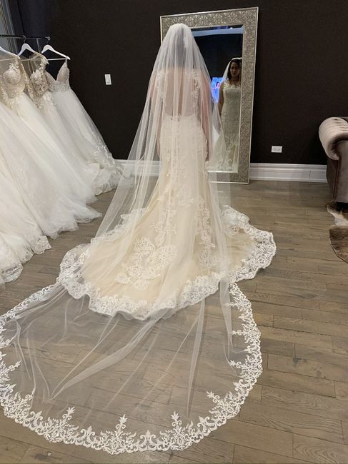 Doubt about your dress? 3