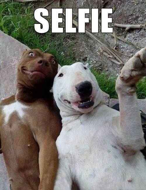 Selfies