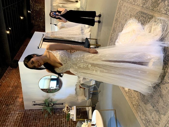 Pronovias Hyperion 6