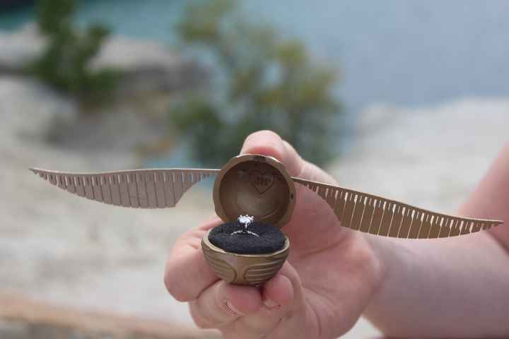 And the golden snitch he proposed with!
