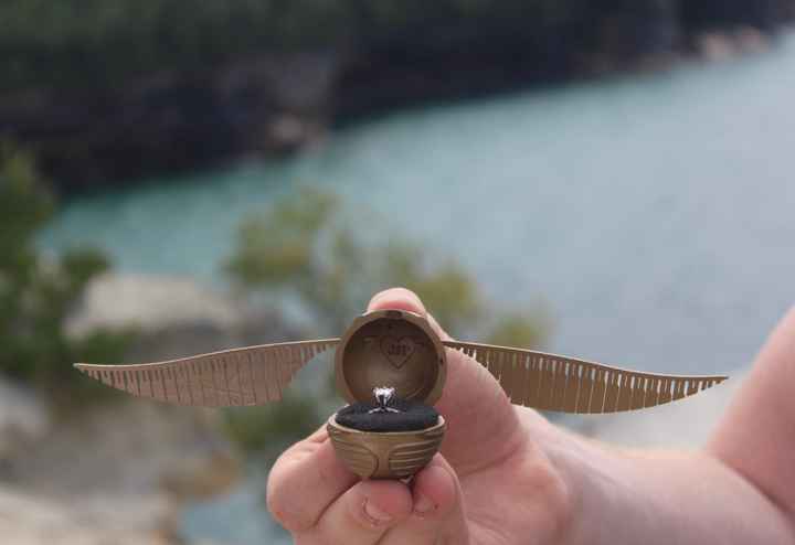 How did he propose? - 1