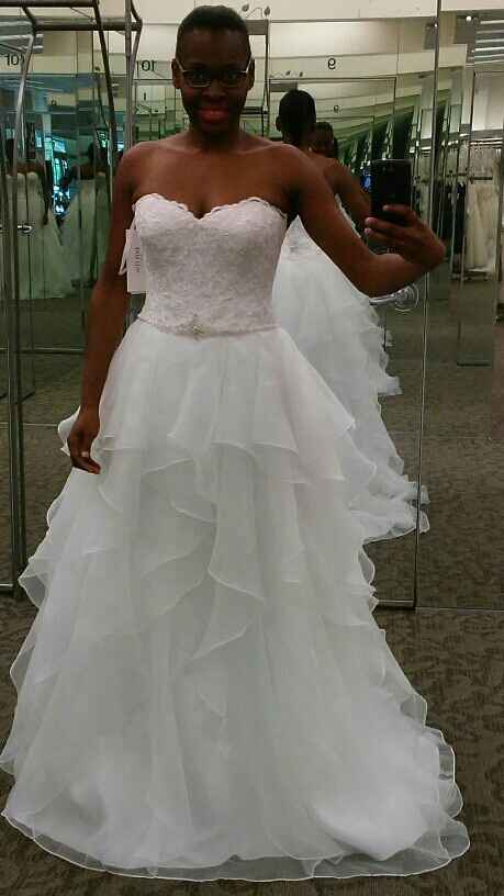 Looking For The Perfect Dress