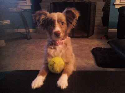 *NWR* Show me your pets/animals! *PICS*